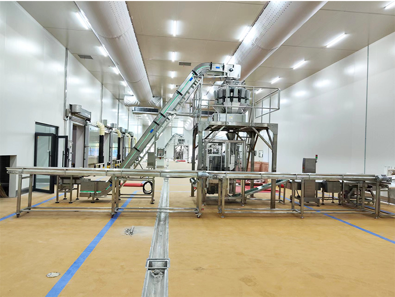 ontziratzeko makina automatikoa forzen janaria