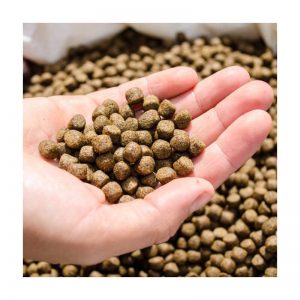 pentsu bertikala ontziratzeko makina