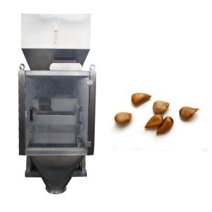 pisu lineala 2 eskala lineala